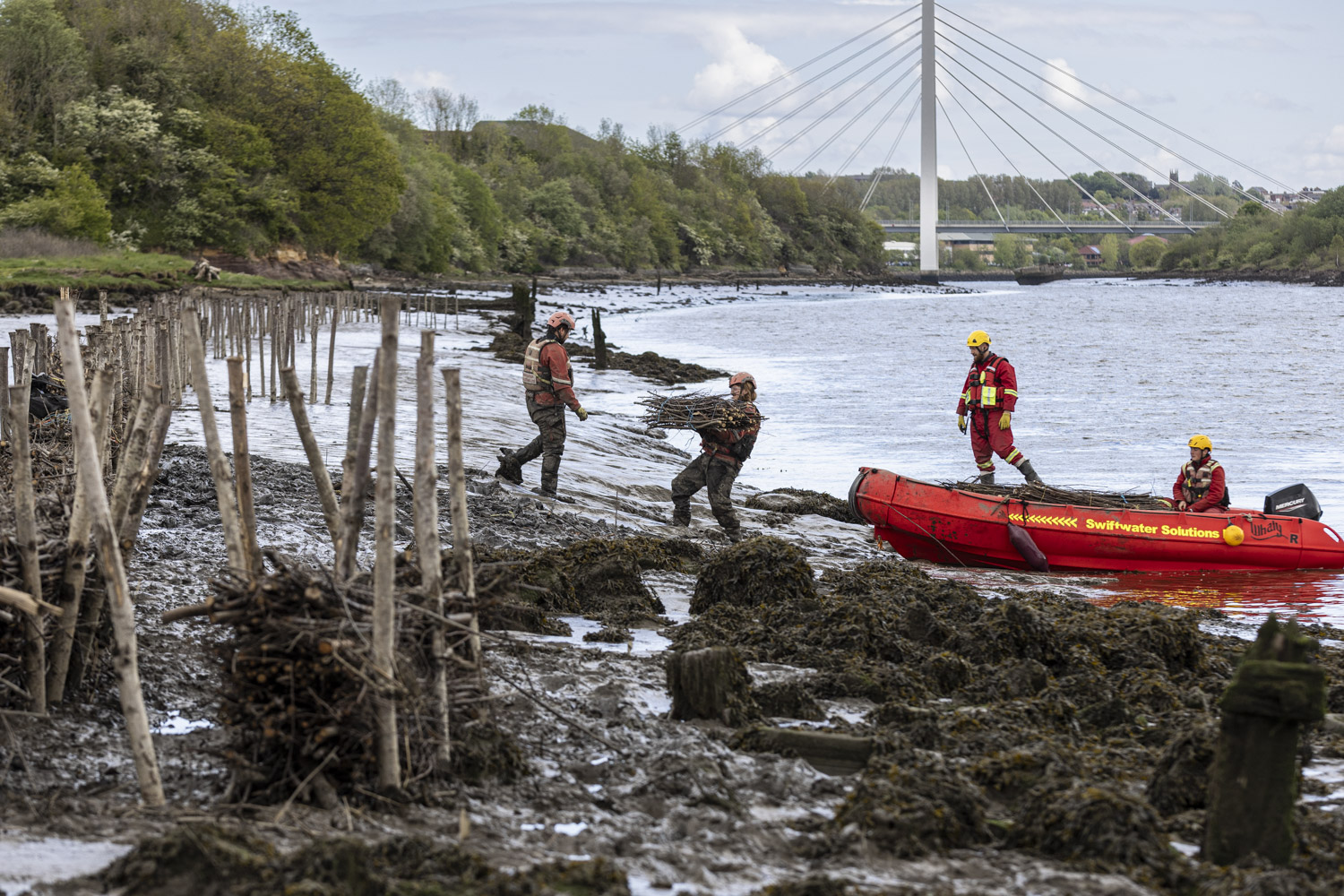 River Wear Saltmarsh Restoration